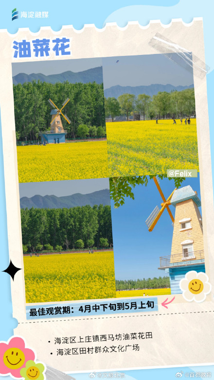 周末走起来！您有一份北京追花日历请查收