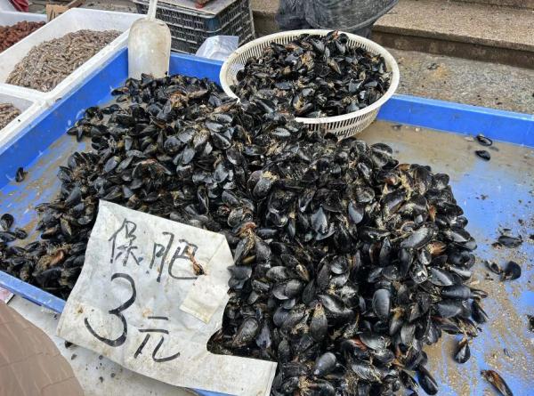 开冰梭鲜美上市，烟台人抓紧吃，错过再等一年！