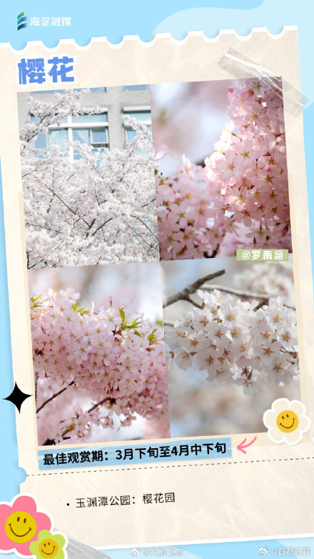 周末走起来！您有一份北京追花日历请查收