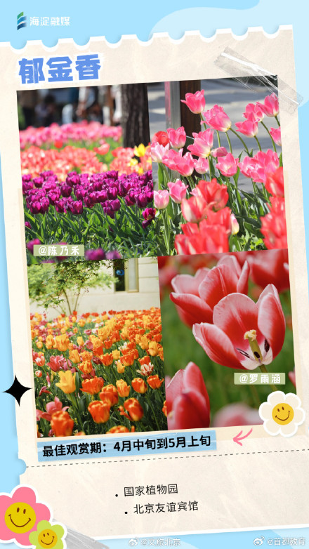 周末走起来！您有一份北京追花日历请查收