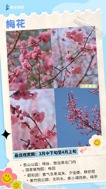 周末走起来！您有一份北京追花日历请查收