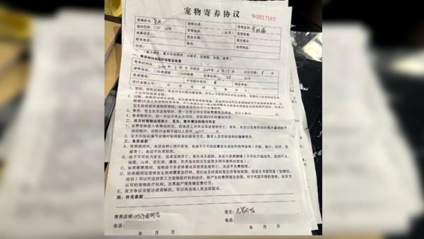 爱犬寄养被弄丢,抓捕时还受了伤!索赔被拒,律师提醒:这样的合同...... 爱犬寄养被弄丢,抓捕时还受了伤!索赔被拒,律师提醒:这样的合同......