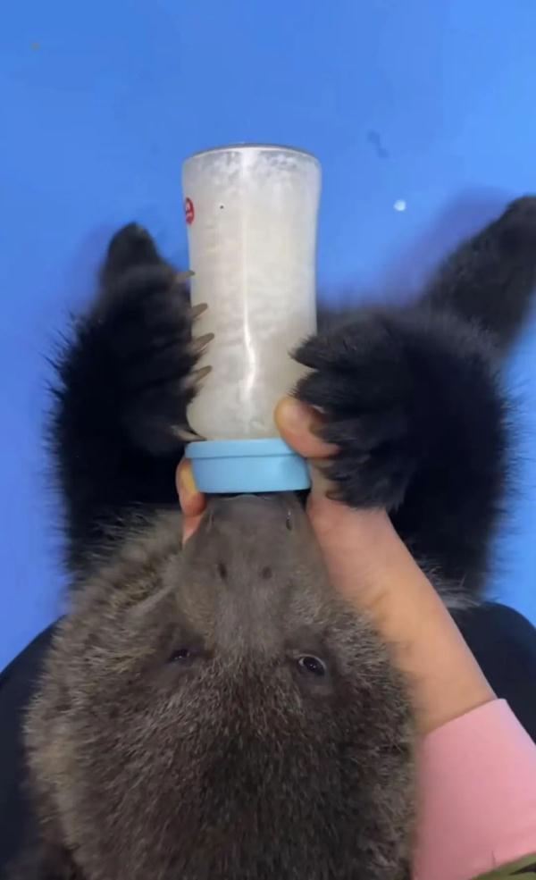 网友抢着要替她上班！95后女生回应：没那么简单