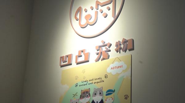 爱犬寄养被弄丢,抓捕时还受了伤!索赔被拒,律师提醒:这样的合同...... 爱犬寄养被弄丢,抓捕时还受了伤!索赔被拒,律师提醒:这样的合同......