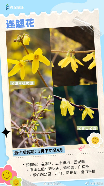 周末走起来！您有一份北京追花日历请查收