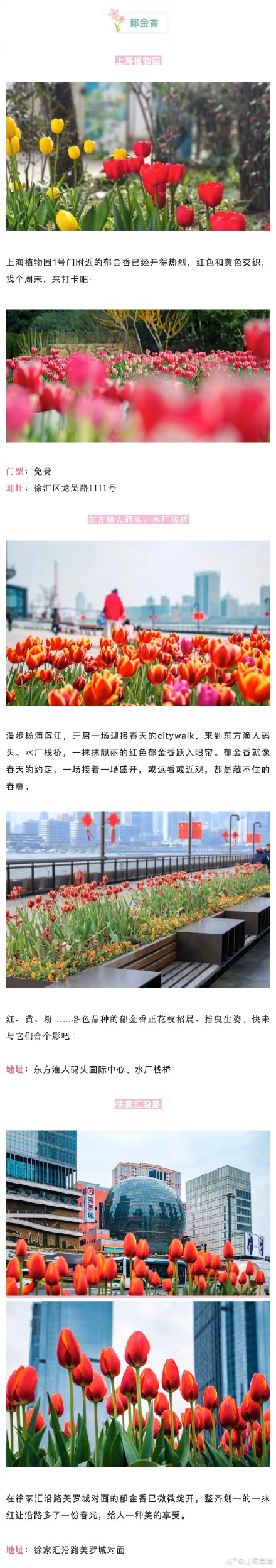 上海三月不容错过的赏花路线
