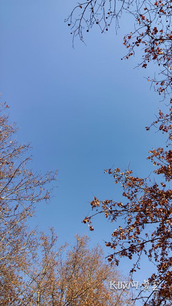 直冲15℃!河北晴暖回归 直冲15℃!河北晴暖回归