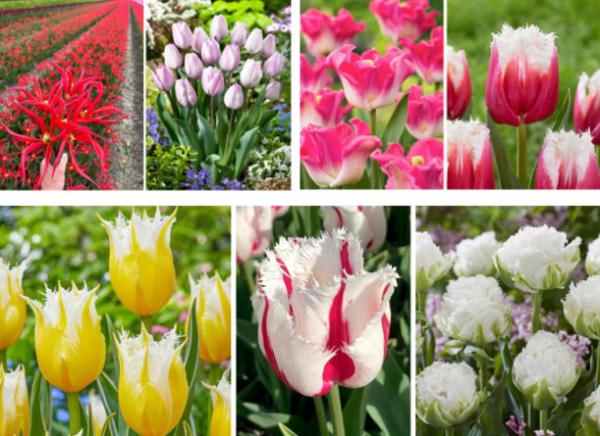 晴晴晴!明后天阳光满满,浙江何时入春?有消息了… 晴晴晴!明后天阳光满满,浙江何时入春?有消息了…