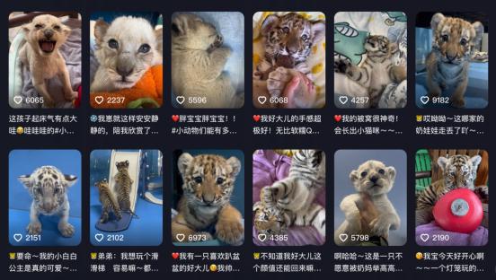 网友抢着要替她上班！95后女生回应：没那么简单