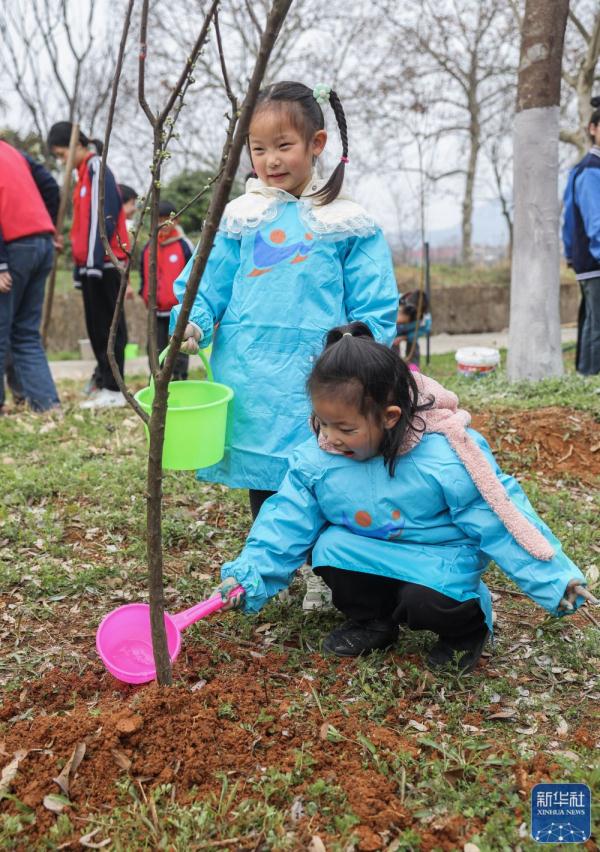 浙江诸暨:积极开展春季植树护绿活动 浙江诸暨:积极开展春季植树护绿活动
