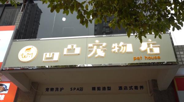 爱犬寄养被弄丢,抓捕时还受了伤!索赔被拒,律师提醒:这样的合同...... 爱犬寄养被弄丢,抓捕时还受了伤!索赔被拒,律师提醒:这样的合同......