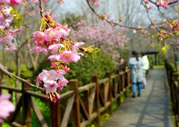 气温攀升迅速，上海今日阳光上线，但注意：晚间天气有变