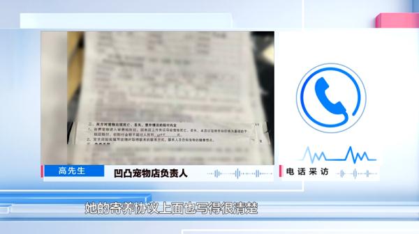 爱犬寄养被弄丢,抓捕时还受了伤!索赔被拒,律师提醒:这样的合同...... 爱犬寄养被弄丢,抓捕时还受了伤!索赔被拒,律师提醒:这样的合同......