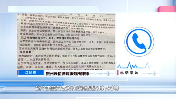 爱犬寄养被弄丢,抓捕时还受了伤!索赔被拒,律师提醒:这样的合同...... 爱犬寄养被弄丢,抓捕时还受了伤!索赔被拒,律师提醒:这样的合同......