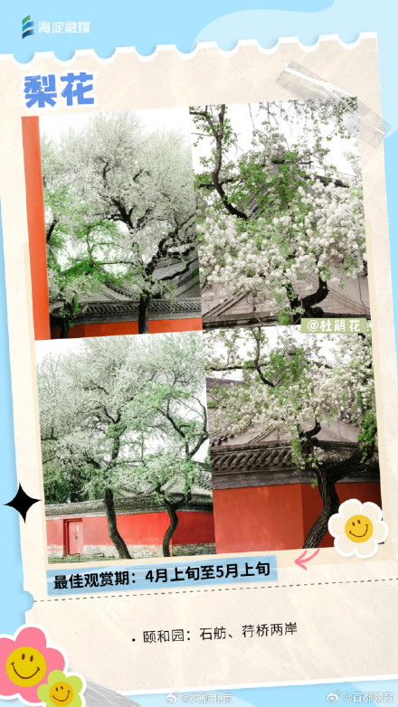 周末走起来！您有一份北京追花日历请查收