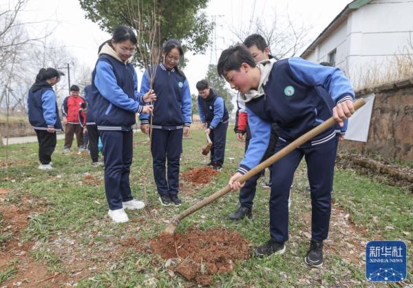 浙江诸暨:积极开展春季植树护绿活动 浙江诸暨:积极开展春季植树护绿活动