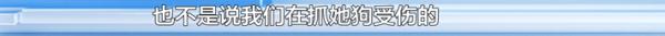 爱犬寄养被弄丢,抓捕时还受了伤!索赔被拒,律师提醒:这样的合同...... 爱犬寄养被弄丢,抓捕时还受了伤!索赔被拒,律师提醒:这样的合同......