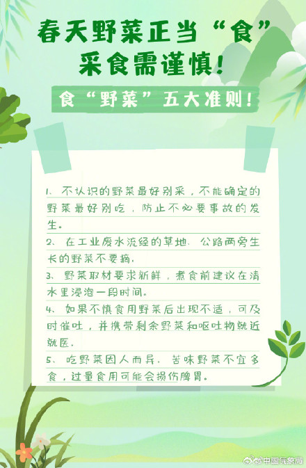 实用帖！春季野菜正当“食”