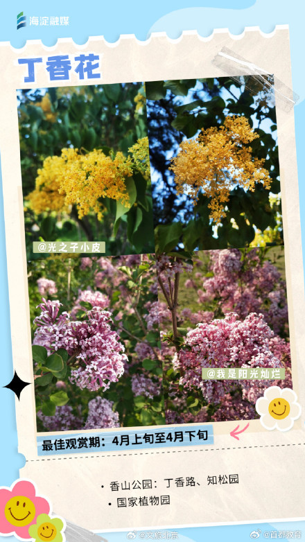 周末走起来！您有一份北京追花日历请查收