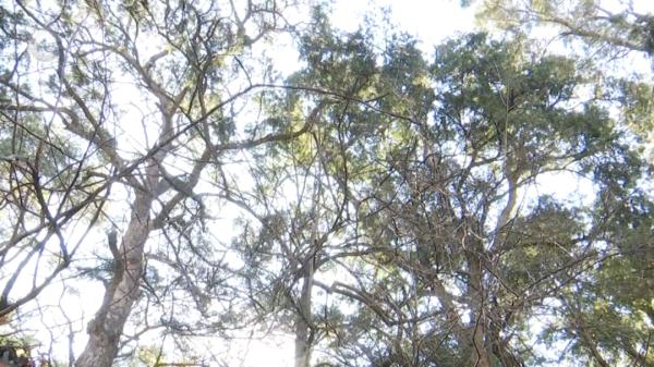 后怕!高速上,风筝线切开小货车后视镜,驾驶室里的他…… 后怕!高速上,风筝线切开小货车后视镜,驾驶室里的他……