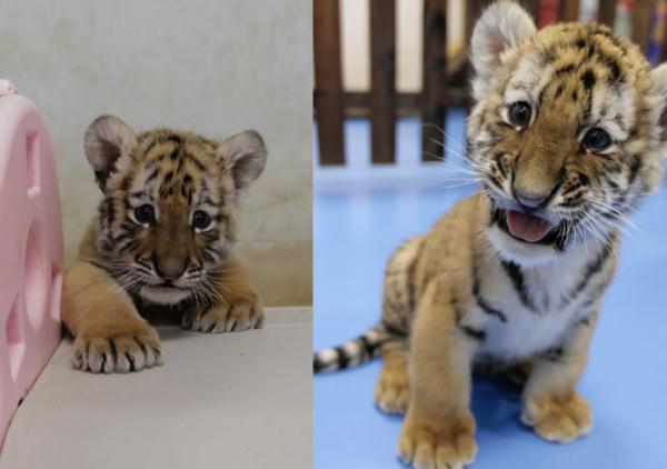 网友抢着要替她上班！95后女生回应：没那么简单