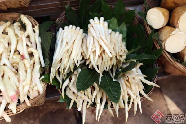 这些花不能乱吃！昆明警方紧急提醒→