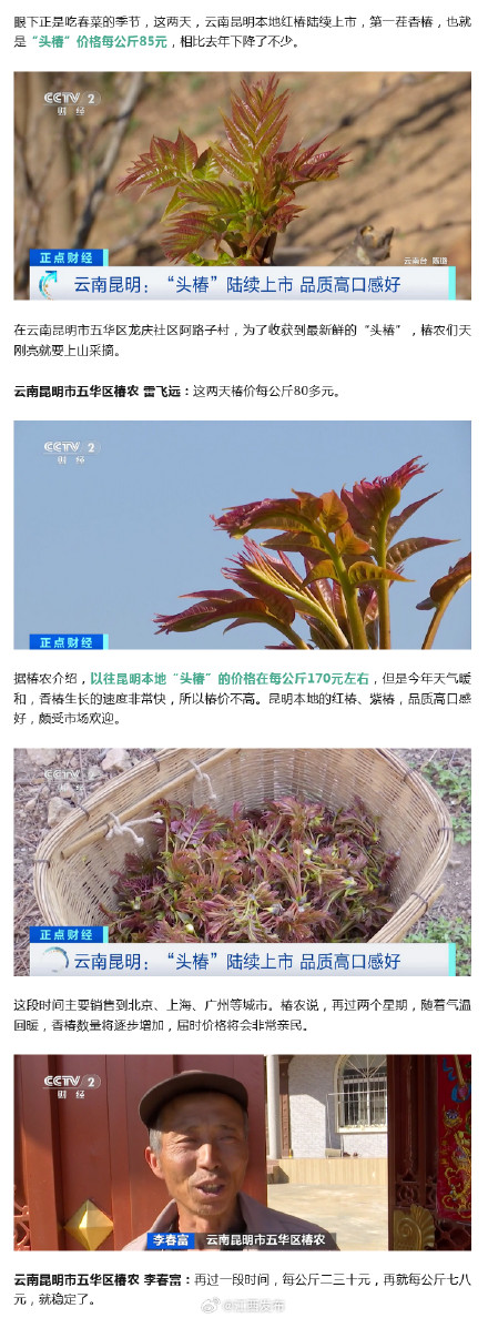 这种菜,价格“腰斩”! 这种菜,价格“腰斩”!