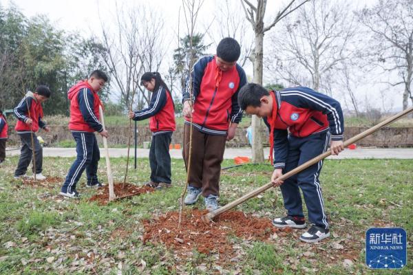 浙江诸暨:积极开展春季植树护绿活动 浙江诸暨:积极开展春季植树护绿活动