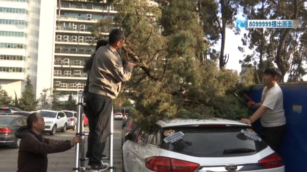 后怕!高速上,风筝线切开小货车后视镜,驾驶室里的他…… 后怕!高速上,风筝线切开小货车后视镜,驾驶室里的他……