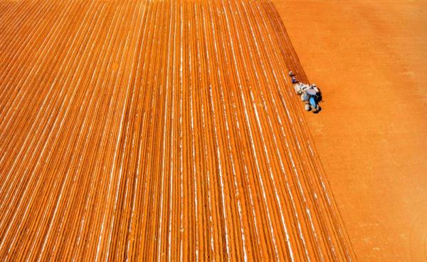 湛江农垦：抓农时 备春耕