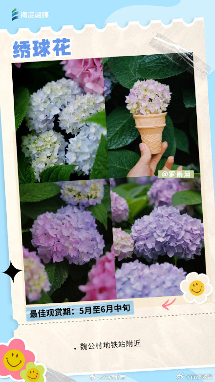 周末走起来！您有一份北京追花日历请查收