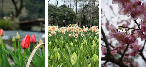 晴晴晴!明后天阳光满满,浙江何时入春?有消息了… 晴晴晴!明后天阳光满满,浙江何时入春?有消息了…