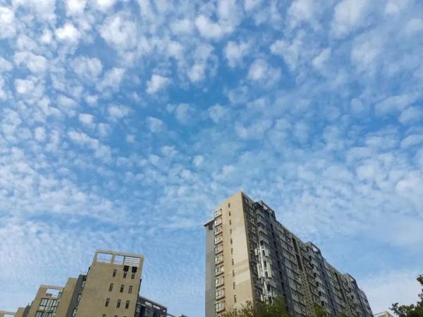 升温!河南大部分地区将冲击20℃ 升温!河南大部分地区将冲击20℃