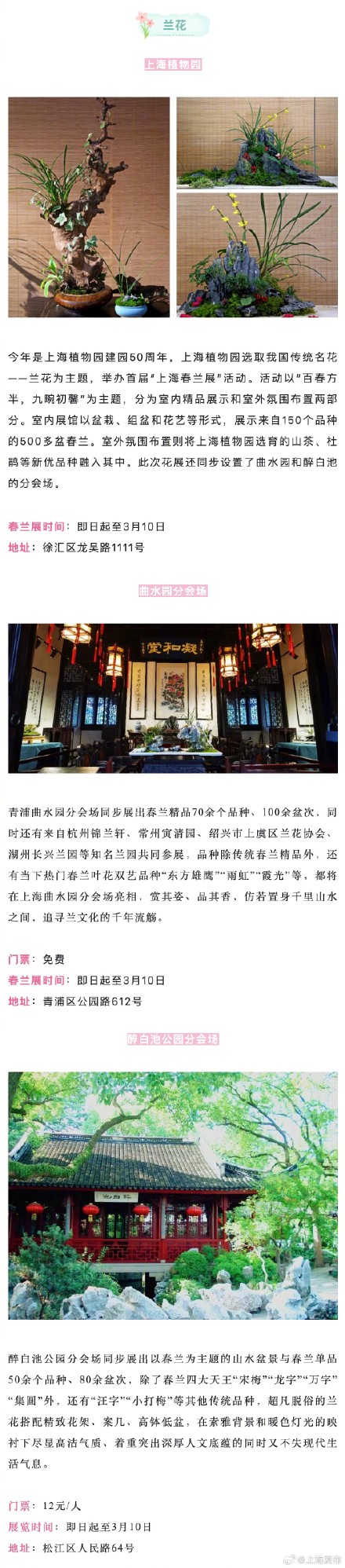 上海三月不容错过的赏花路线
