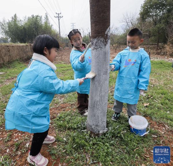 浙江诸暨:积极开展春季植树护绿活动 浙江诸暨:积极开展春季植树护绿活动