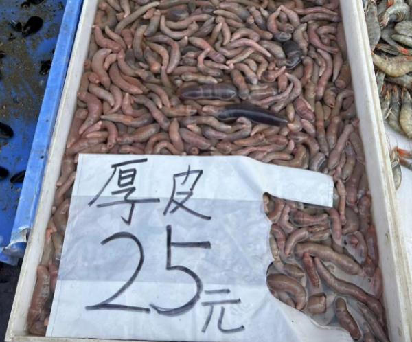 开冰梭鲜美上市，烟台人抓紧吃，错过再等一年！