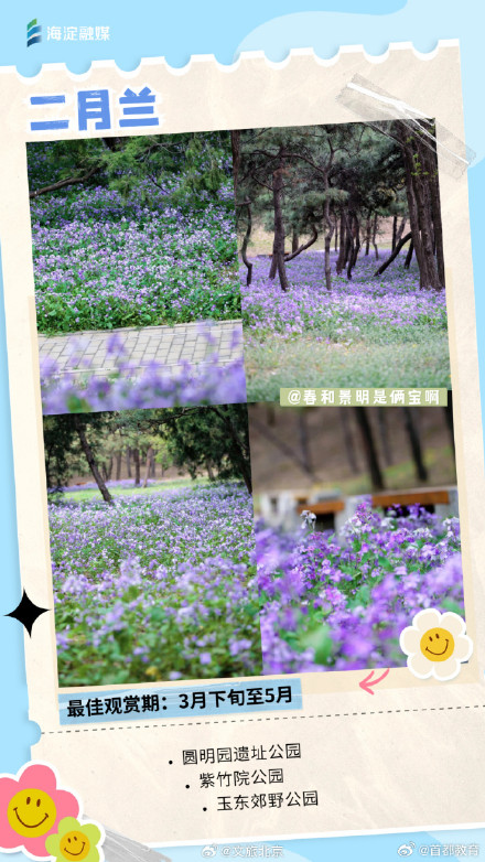 周末走起来！您有一份北京追花日历请查收
