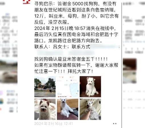 爱犬寄养被弄丢,抓捕时还受了伤!索赔被拒,律师提醒:这样的合同...... 爱犬寄养被弄丢,抓捕时还受了伤!索赔被拒,律师提醒:这样的合同......