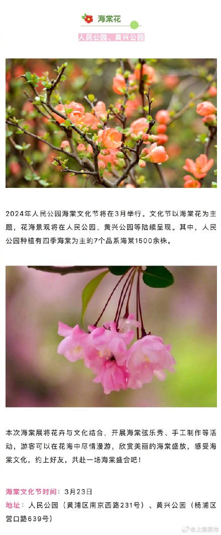 上海三月不容错过的赏花路线