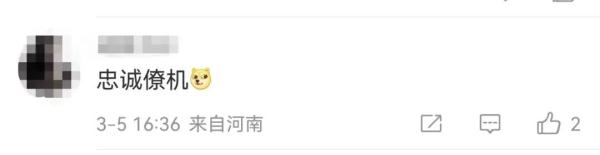 鸽子还会等红绿灯？河北男子骑摩托遛鸽子，惊呆路人！