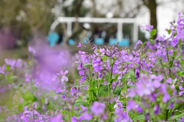 浙江连发54条预警！这天气温直冲22℃