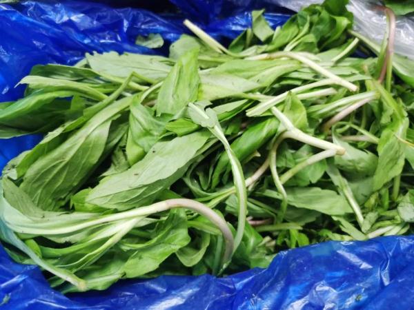 南京春菜上市啦！