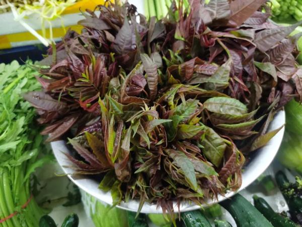 南京春菜上市啦！