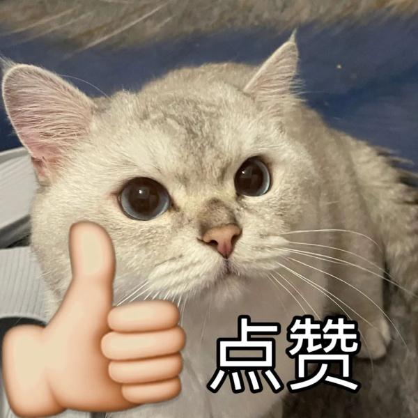 直达皇岗口岸!这条城际铁路最新进展来了! 直达皇岗口岸!这条城际铁路最新进展来了!