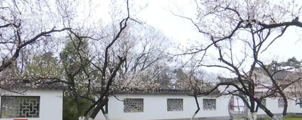 韧性强、潜力大、活力足 中国经济发展脉动愈发强劲有力