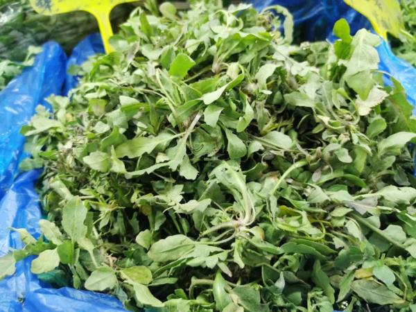 南京春菜上市啦！