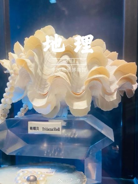 在北京,一不小心拍到了十门科目“课本封面”! 在北京,一不小心拍到了十门科目“课本封面”!