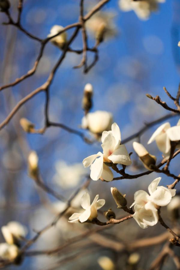 一路飙升，潍坊升温，直冲23℃