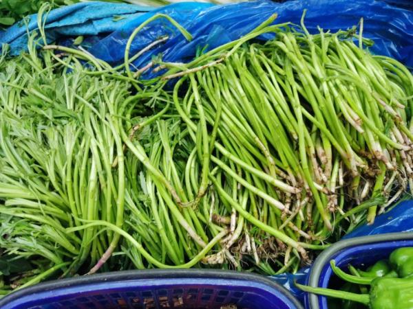 南京春菜上市啦！