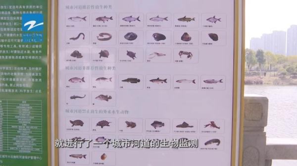 杭州：家门口的河道，这些行为禁止！